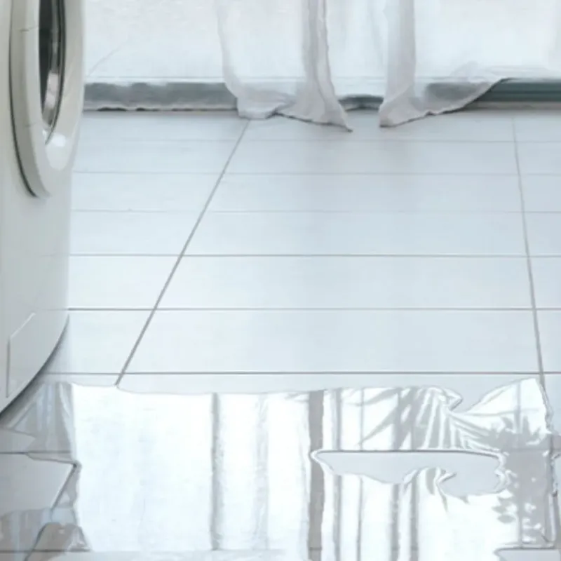 Appliance Leak Cleanup in Schall Circle, FL