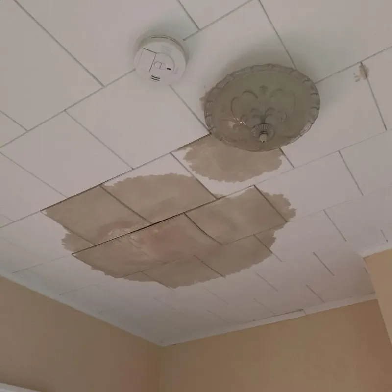 Ceiling Water Damage Repair in Schall Circle, FL