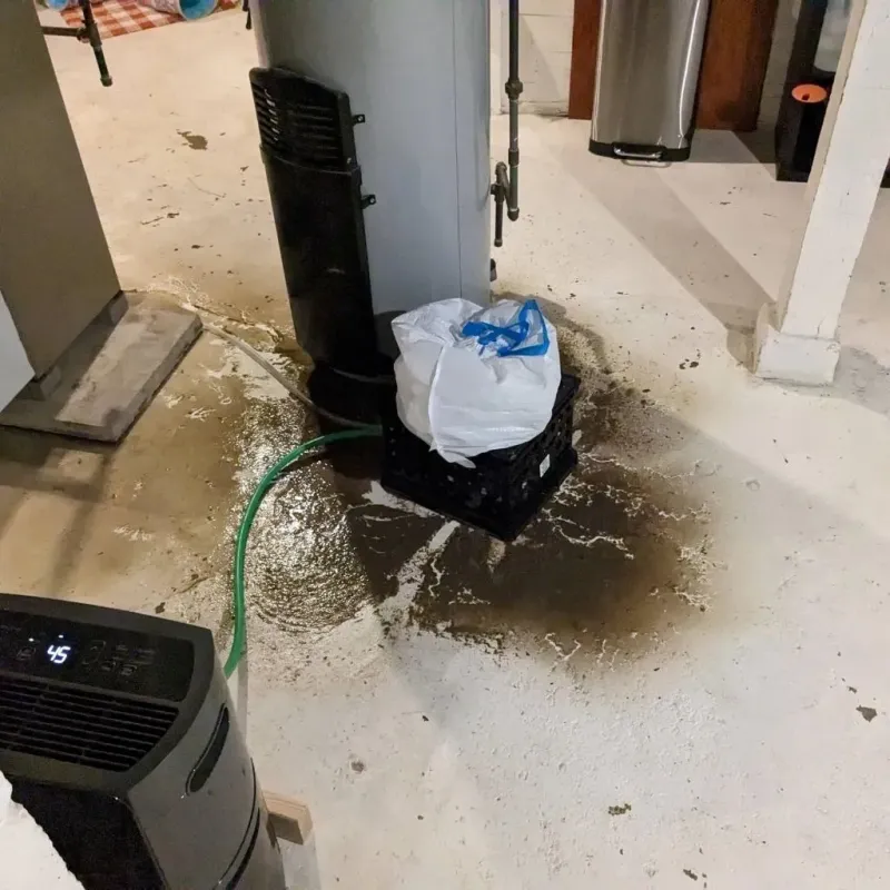 Sewage Backup Cleanup Service in Schall Circle, FL